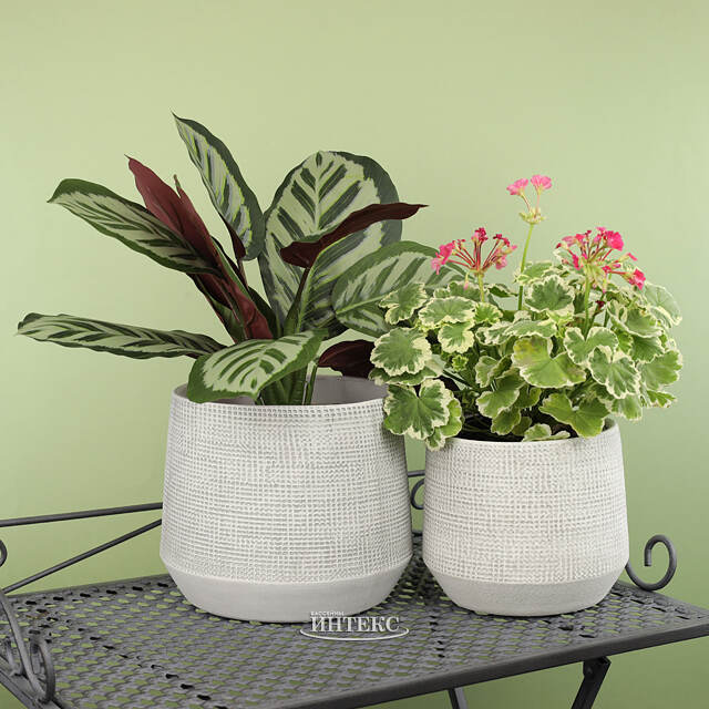 Керамическое кашпо Грей Джой 19 см Edelman (Эдельман)