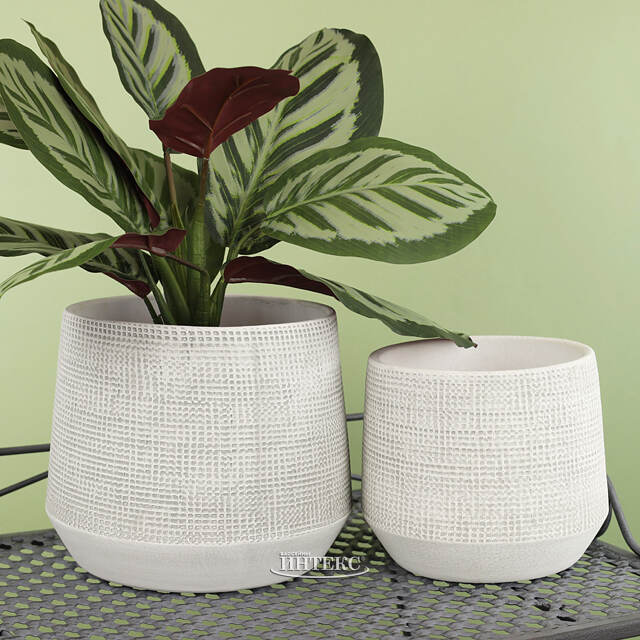 Керамическое кашпо Грей Джой 19 см Edelman (Эдельман)