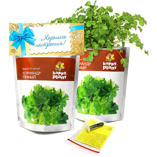 Набор для выращивания Кориандр Happy Plant