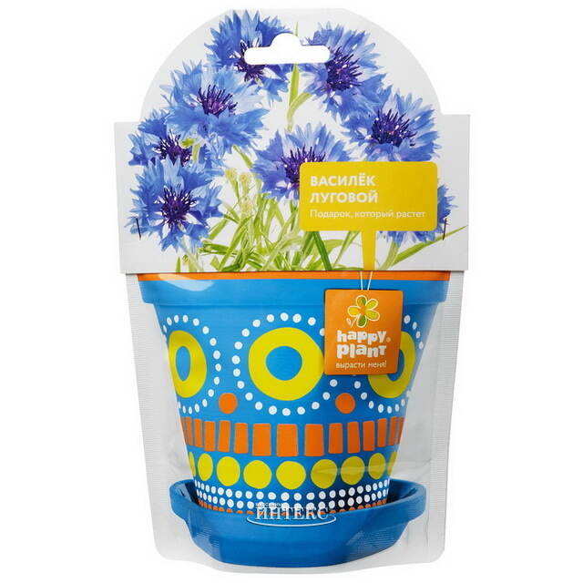 Набор для выращивания Василек Луговой Happy Plant (Хэппи Плант)