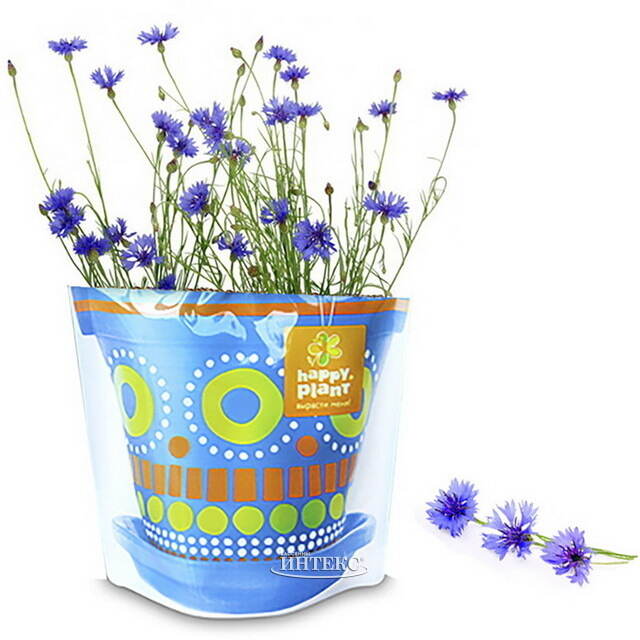 Набор для выращивания Василек Луговой Happy Plant (Хэппи Плант)