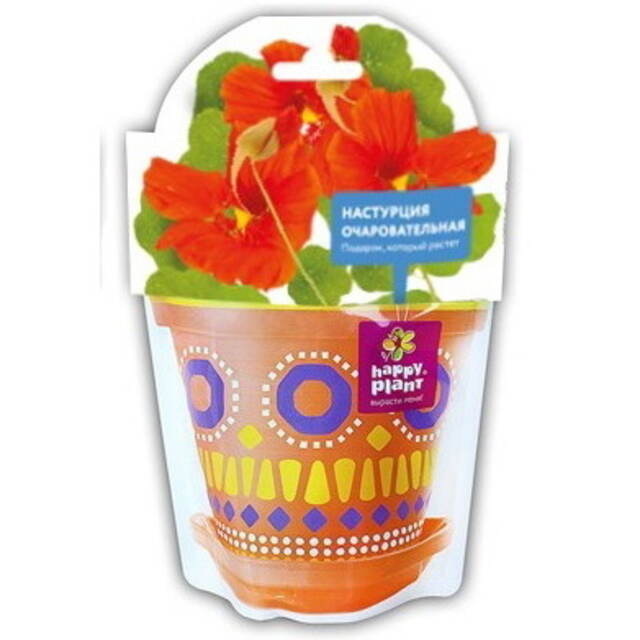 Набор для выращивания Настурция Очаровательная Happy Plant (Хэппи Плант)