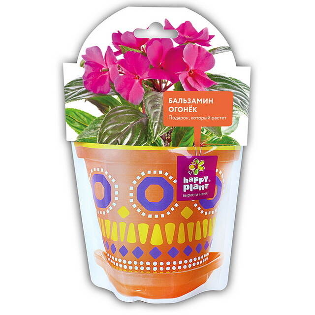 Набор для выращивания Бальзамин огонек Happy Plant (Хэппи Плант)