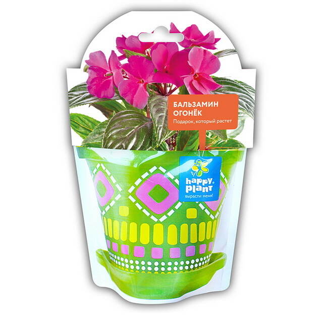 Набор для выращивания Бальзамин огонек Happy Plant (Хэппи Плант)