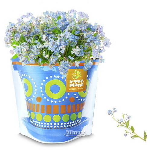 Набор для выращивания Незабудка голубая Happy Plant