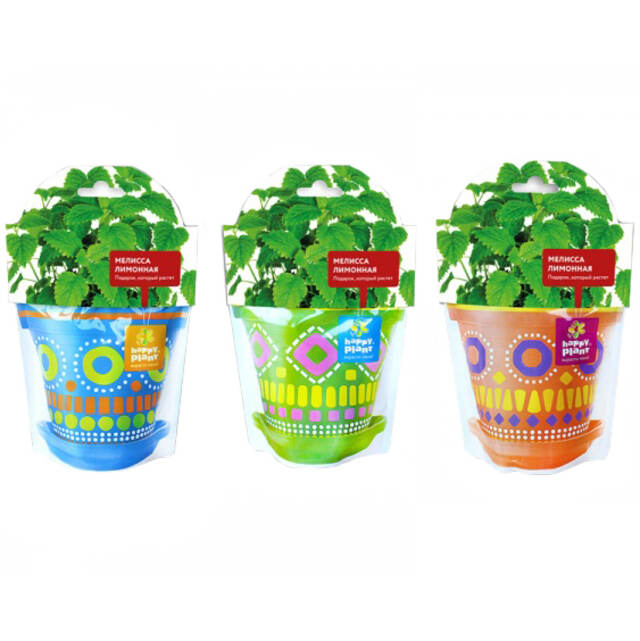 Набор для выращивания Мелисса лимонная Happy Plant (Хэппи Плант)