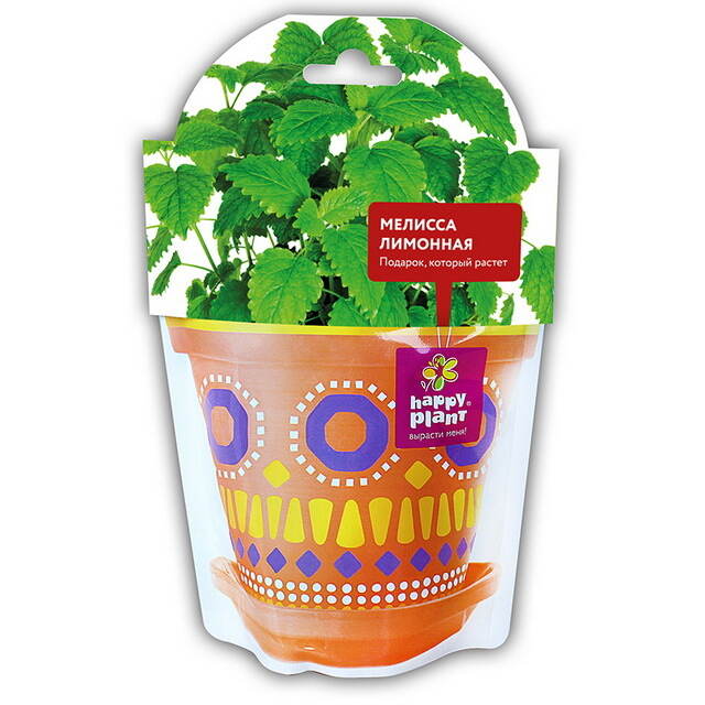 Набор для выращивания Мелисса лимонная Happy Plant (Хэппи Плант)