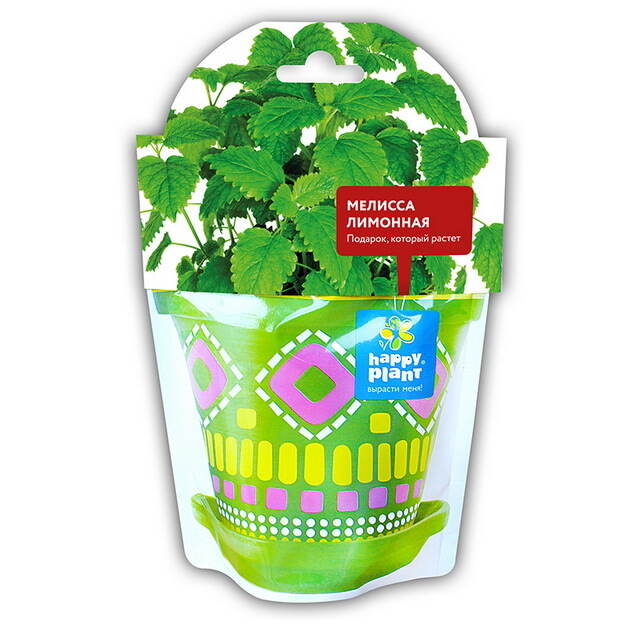 Набор для выращивания Мелисса лимонная Happy Plant (Хэппи Плант)