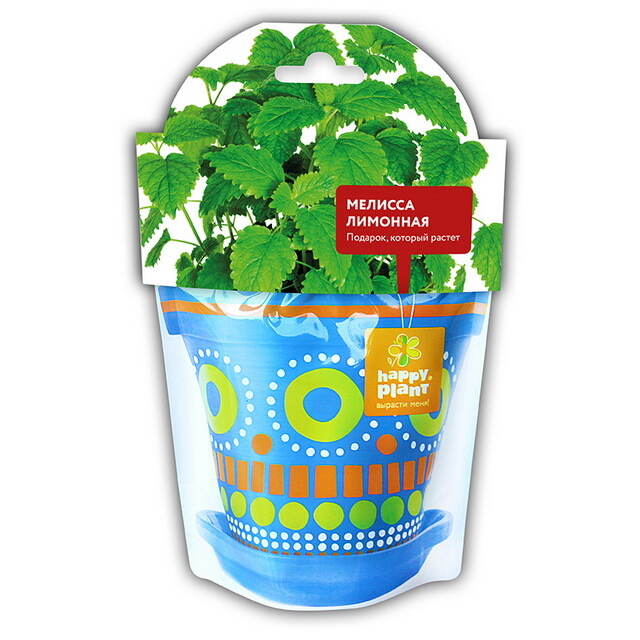 Набор для выращивания Мелисса лимонная Happy Plant (Хэппи Плант)