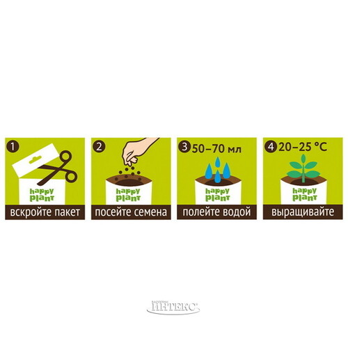 Набор для выращивания Бальзамин огонек Happy Plant