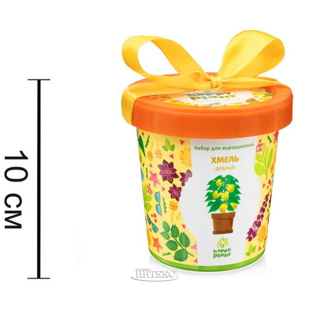 Набор для выращивания Хмель добрый в горшке Happy Plant