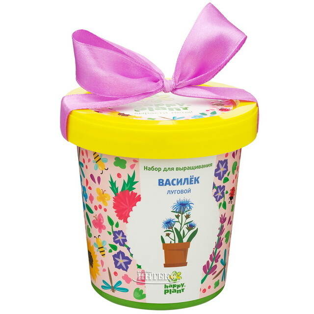 Набор для выращивания Василек Луговой в горшке Happy Plant