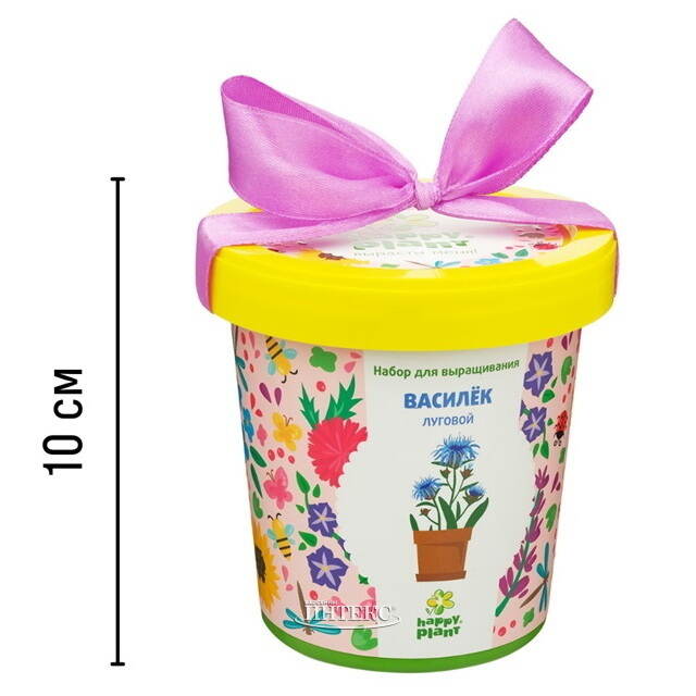 Набор для выращивания Василек Луговой в горшке Happy Plant