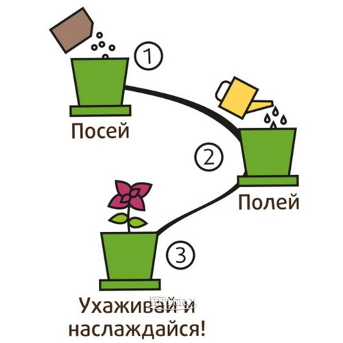 Набор для выращивания Василек Луговой в горшке Happy Plant