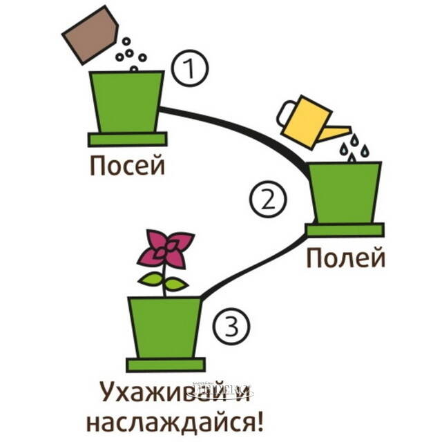 Набор для выращивания Вербена Нежная в горшке Happy Plant