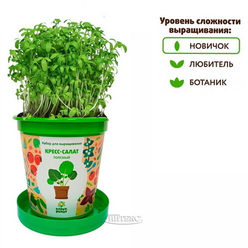 Набор для выращивания Кресс-Салат Полезный в горшке Happy Plant