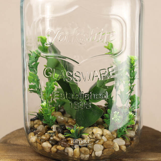 Декоративный флорариум-банка Рубьера с Монстерой 39*20 см, теплая белая LED подсветка  Koopman (Купман)