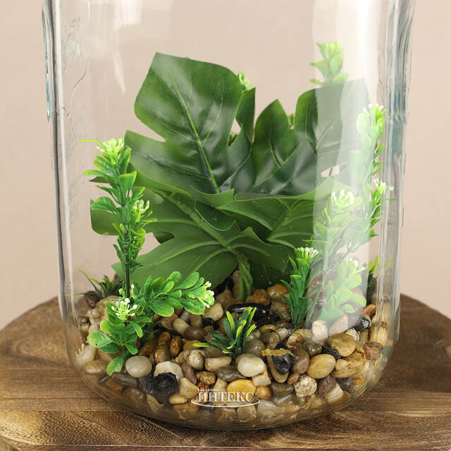 Декоративный флорариум-банка Рубьера с Монстерой 39*20 см, теплая белая LED подсветка  Koopman (Купман)