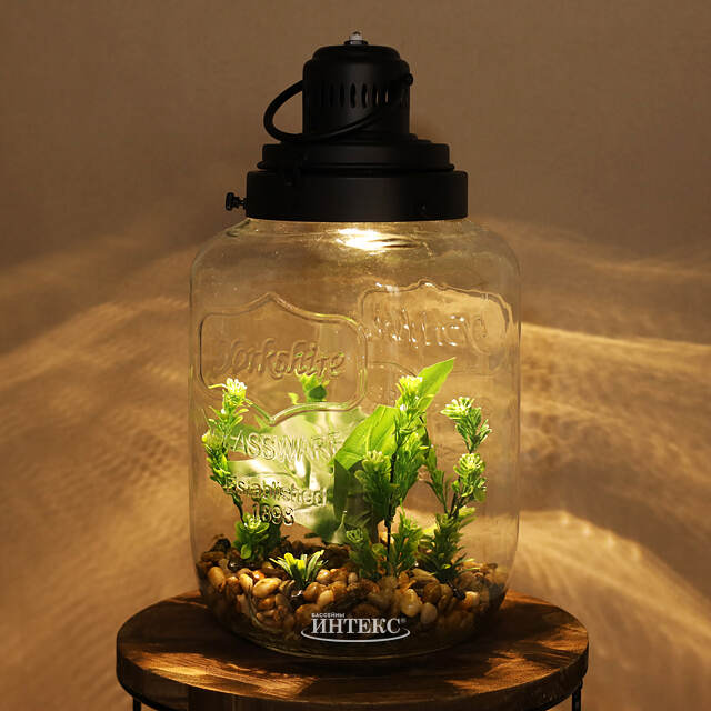 Декоративный флорариум-банка Рубьера с Монстерой 39*20 см, теплая белая LED подсветка  Koopman (Купман)