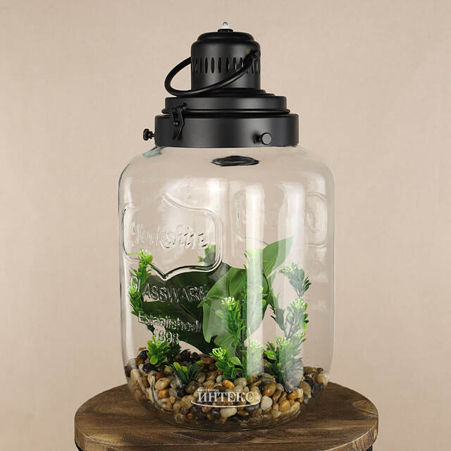 Декоративный флорариум-банка Рубьера с Монстерой 39*20 см, теплая белая LED подсветка  Koopman (Купман)