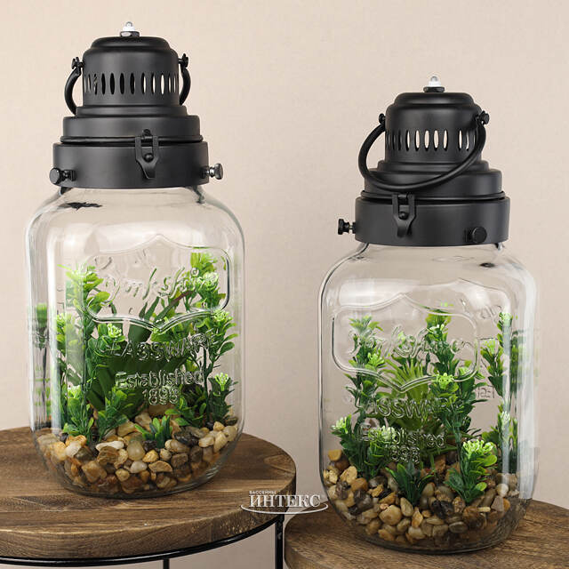 Декоративный флорариум-банка Рубьера с Монстерой 39*20 см, теплая белая LED подсветка  Koopman (Купман)