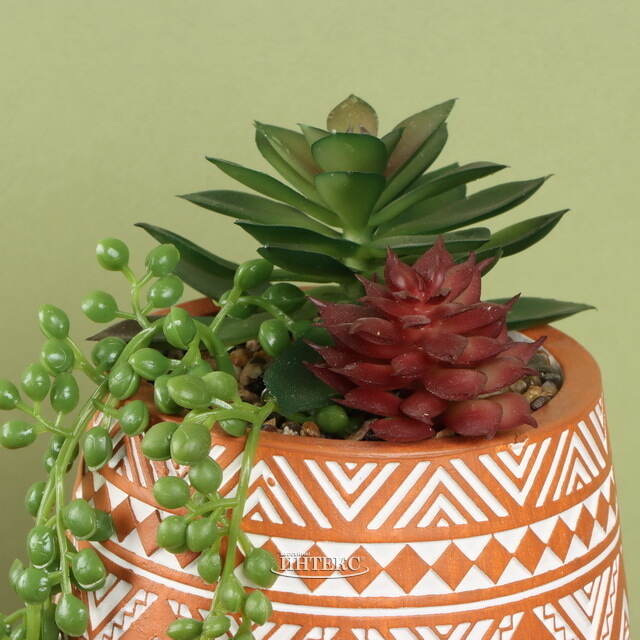 Искусственное растение горшке Альенто - Эхеверия 15*10 см Koopman (Купман)