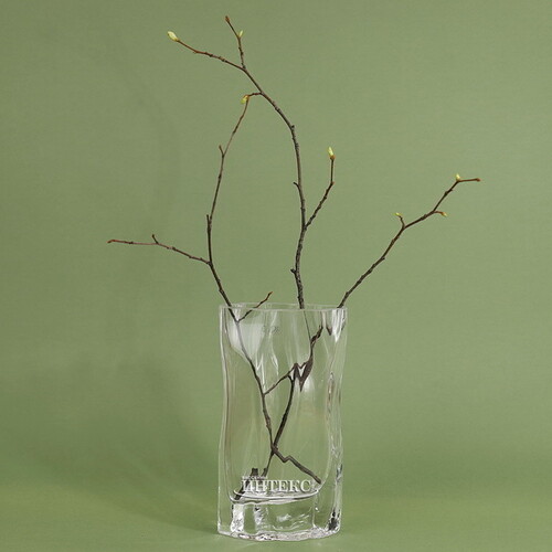 Стеклянная ваза Шенефельд 21 см Edelman