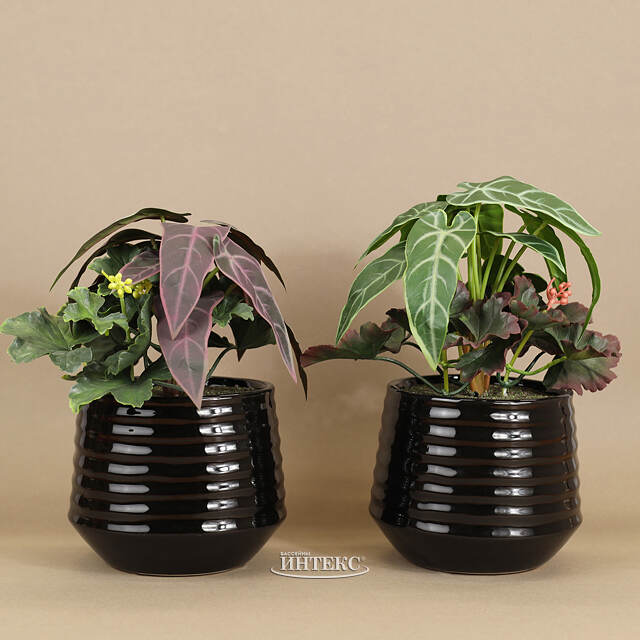 Композиция из искусственных цветов Алоказия Пурпурная 25 см Kaemingk (Кейминг)