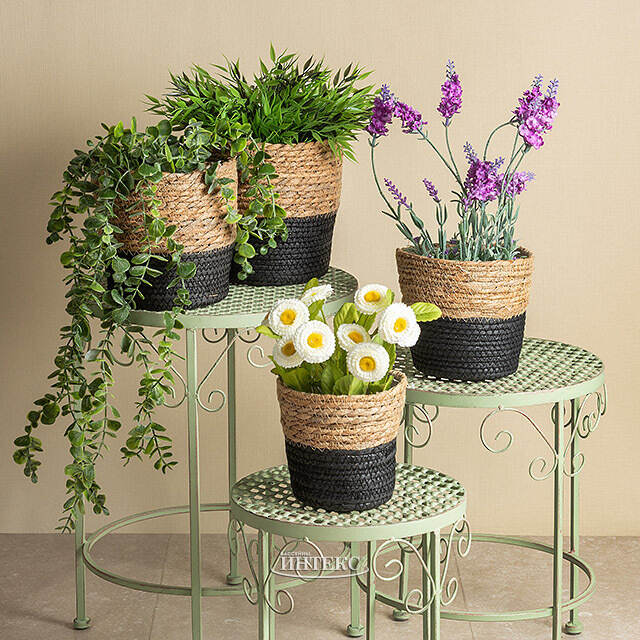 Декоративное кашпо Вениджи 18 см Edelman