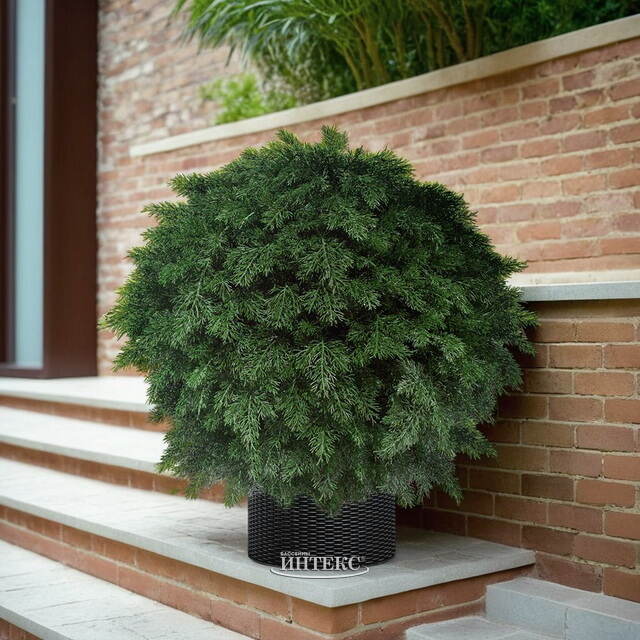 Искусственная Туя-шар 70 см, ЛИТАЯ 100% ElkaDe (ЕлкаДе)