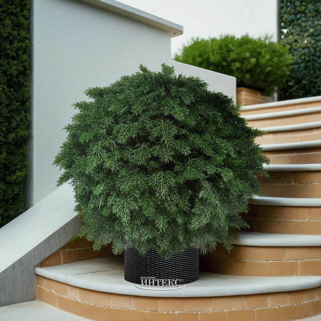 Искусственная Туя-шар 70 см, ЛИТАЯ 100% ElkaDe (ЕлкаДе)