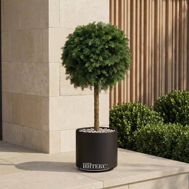 Искусственная Туя-шар на ножке 115 см, ЛИТАЯ 100% ElkaDe (ЕлкаДе)