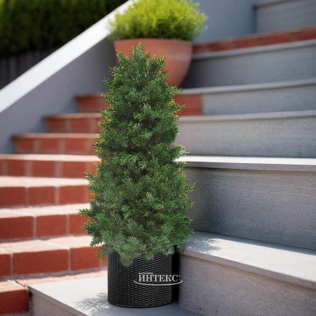 Искусственная Туя 60 см, ЛИТАЯ 100% ElkaDe