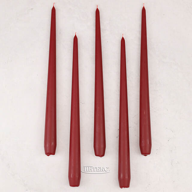 Высокие свечи Андреа Velvet 30 см, 5 шт, бордовые Candleslight