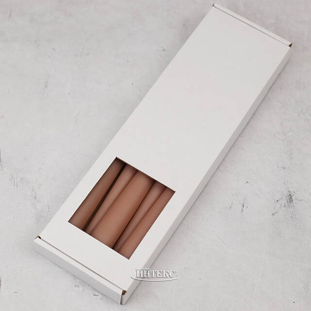 Высокие свечи 30 см Андреа роза капучино, 5 шт Candleslight (Кэндлслайт)