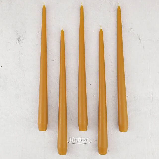 Высокие свечи 30 см Андреа Вельвет медовые, 5 шт Candleslight (Кэндлслайт)