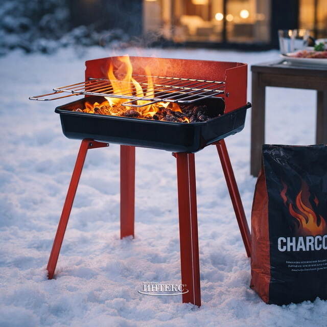 Угольный гриль Тайрон 45*36 см Koopman