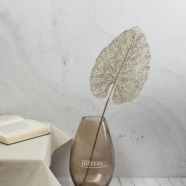 Декоративный лист Ажурная Калатея 67 см шампань Koopman