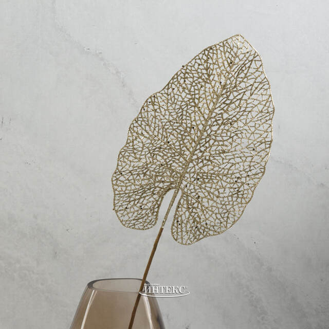 Декоративный лист Ажурная Калатея 67 см шампань Koopman