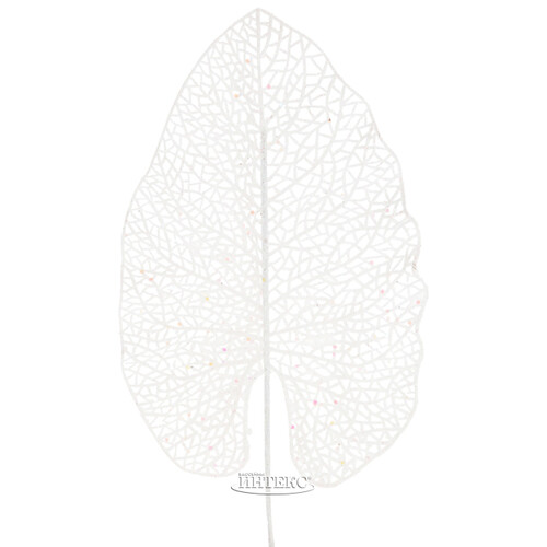 Декоративный лист Ажурная Калатея 67 см белый Koopman