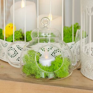 Декоративный флорариум Чайник The Lumiere 14 см, стекло Ideas4Seasons фото 5