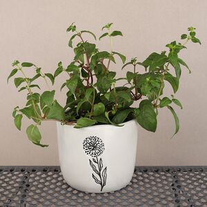 Декоративное кашпо Одуванчик 15 см, фарфор Koopman фото 4