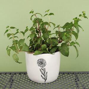 Декоративное кашпо Одуванчик 15 см, фарфор Koopman фото 2