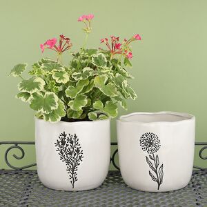 Декоративное кашпо Одуванчик 15 см, фарфор Koopman фото 3