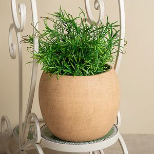 Декоративное кашпо Фелинели 20*16 см