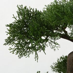 Искусственный бонсай Лиственница 33 см Boltze фото 4