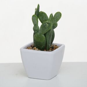 Искусственное растение в горшке Кактус Опунция 14 см (Boltze, Германия). Артикул: 1002232-3