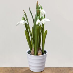 Искусственный цветок в горшке Подснежник Галантус 28 см (Boltze, Германия). Артикул: 1002265-3