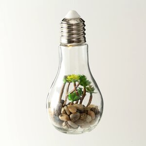Декоративный подвесной светильник - флорариум Лампочка с Крассулой 18 см, теплая белая LED подсветка, стекло, IP20 Boltze фото 3