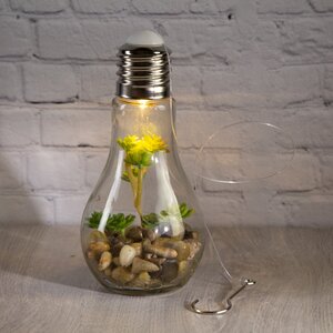 Декоративный подвесной светильник - флорариум Лампочка с Крассулой 18 см, теплая белая LED подсветка, стекло, IP20 Boltze фото 6
